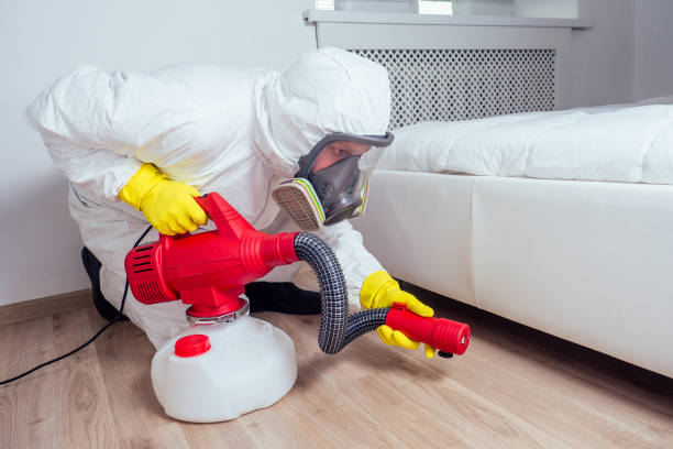 Best Residential Pest Control  in Salida Del Sol Estates, TX