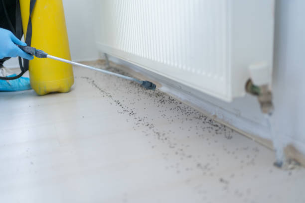 Pest Control Cost in Salida Del Sol Estates, TX