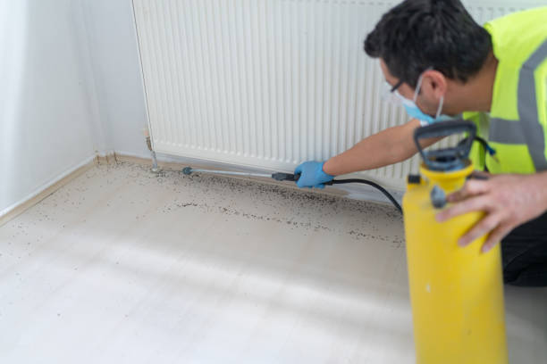 Reliable Salida Del Sol Estates, TX Pest Control Solutions
